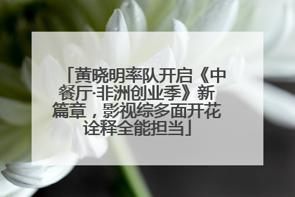 黄晓明率队开启《中餐厅·非洲创业季》新篇章，影视综多面开花诠释全能担当