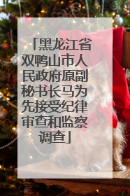 黑龙江省双鸭山市人民政府原副秘书长马为先接受纪律审查和监察调查