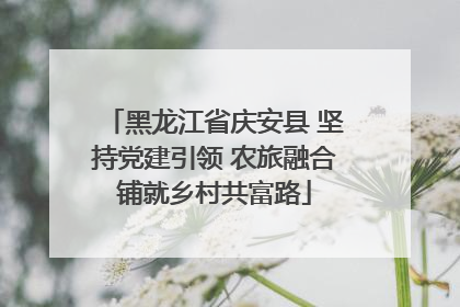 黑龙江省庆安县 坚持党建引领 农旅融合铺就乡村共富路