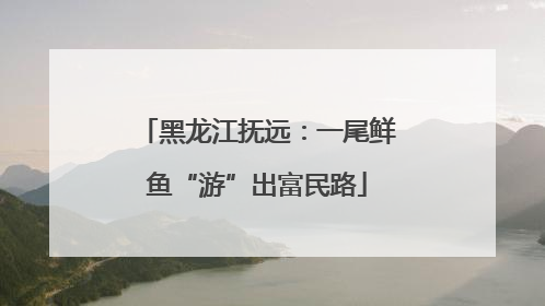 黑龙江抚远：一尾鲜鱼“游”出富民路
