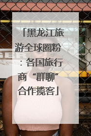 黑龙江旅游全球圈粉：各国旅行商“群聊”合作揽客