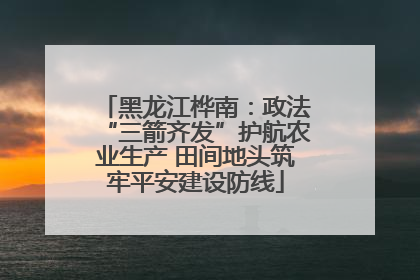 黑龙江桦南：政法“三箭齐发”护航农业生产 田间地头筑牢平安建设防线