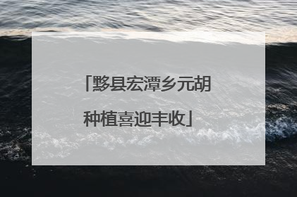 黟县宏潭乡元胡种植喜迎丰收