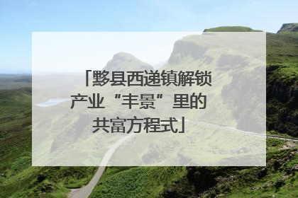 黟县西递镇解锁产业“丰景”里的共富方程式