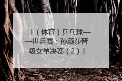 （体育）乒乓球——世乒赛：孙颖莎晋级女单决赛（2）