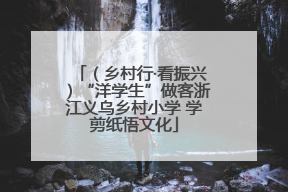 （乡村行·看振兴）“洋学生”做客浙江义乌乡村小学 学剪纸悟文化