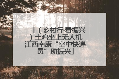 （乡村行·看振兴）土鸡坐上无人机 江西南康“空中快递员”助振兴