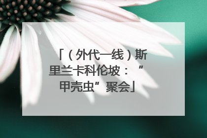 （外代一线）斯里兰卡科伦坡：“甲壳虫”聚会