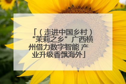 （走进中国乡村）“茉莉之乡”广西横州借力数字智能 产业升级香飘海外