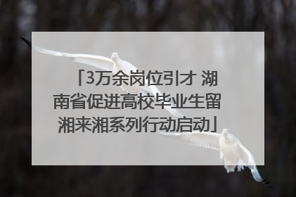 3万余岗位引才 湖南省促进高校毕业生留湘来湘系列行动启动