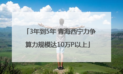 3年到5年 青海西宁力争算力规模达10万P以上