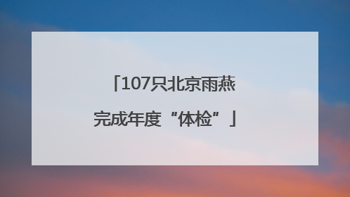 107只北京雨燕完成年度“体检”
