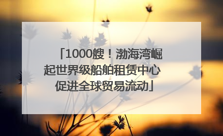 1000艘！渤海湾崛起世界级船舶租赁中心 促进全球贸易流动