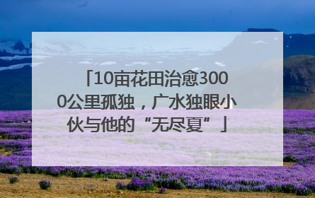 10亩花田治愈3000公里孤独，广水独眼小伙与他的“无尽夏”