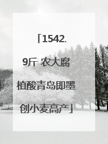 1542.9斤 农大腐植酸青岛即墨创小麦高产