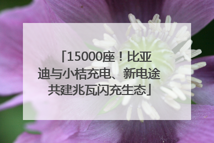 15000座！比亚迪与小桔充电、新电途共建兆瓦闪充生态