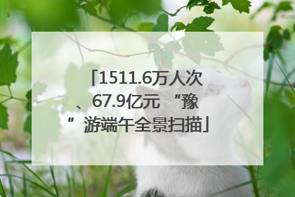 1511.6万人次、67.9亿元 “豫”游端午全景扫描