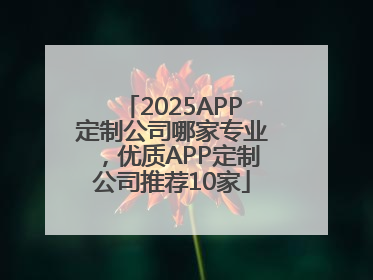 2025APP定制公司哪家专业，优质APP定制公司推荐10家