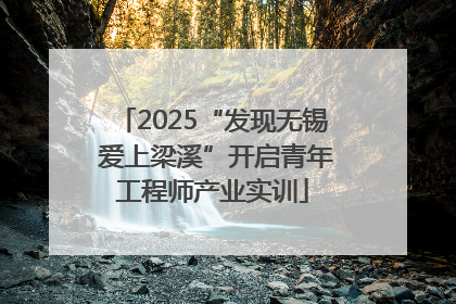 2025“发现无锡 爱上梁溪”开启青年工程师产业实训