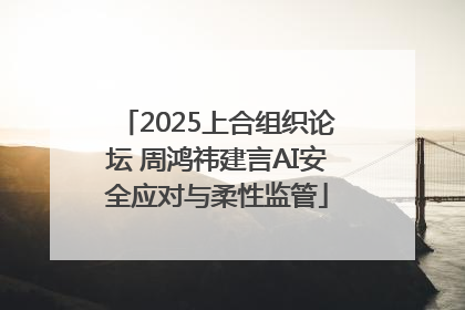 2025上合组织论坛 周鸿祎建言AI安全应对与柔性监管