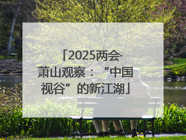 2025两会·萧山观察：“中国视谷”的新江湖
