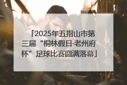 2025年五指山市第三届“桐林假日·老州府杯”足球比赛圆满落幕