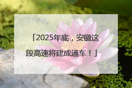 2025年底，安徽这段高速将建成通车！