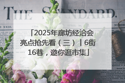 2025年廊坊经洽会亮点抢先看（三）丨6街16巷，邀你逛市集