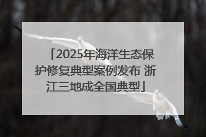 2025年海洋生态保护修复典型案例发布 浙江三地成全国典型