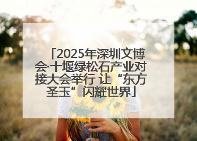 2025年深圳文博会·十堰绿松石产业对接大会举行 让“东方圣玉”闪耀世界