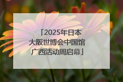 2025年日本大阪世博会中国馆广西活动周启幕