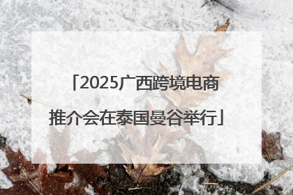 2025广西跨境电商推介会在泰国曼谷举行