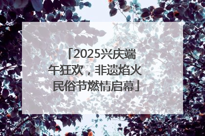 2025兴庆端午狂欢，非遗焰火民俗节燃情启幕