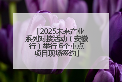 2025未来产业系列对接活动（安徽行）举行 6个重点项目现场签约