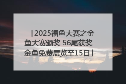 2025福鱼大赛之金鱼大赛颁奖 56尾获奖金鱼免费展览至15日
