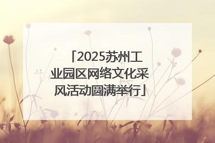 2025苏州工业园区网络文化采风活动圆满举行