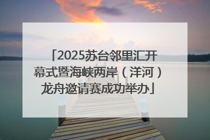 2025苏台邻里汇开幕式暨海峡两岸（洋河）龙舟邀请赛成功举办