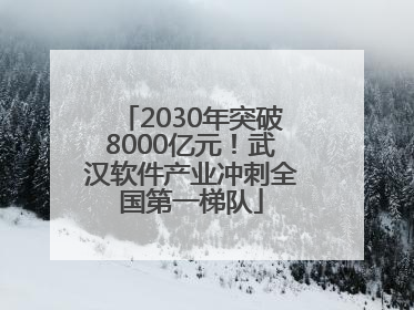 2030年突破8000亿元！武汉软件产业冲刺全国第一梯队