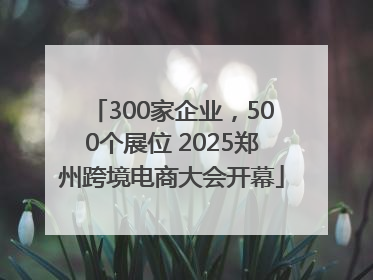 300家企业，500个展位 2025郑州跨境电商大会开幕