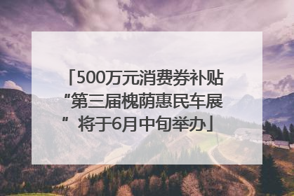500万元消费券补贴 “第三届槐荫惠民车展”将于6月中旬举办