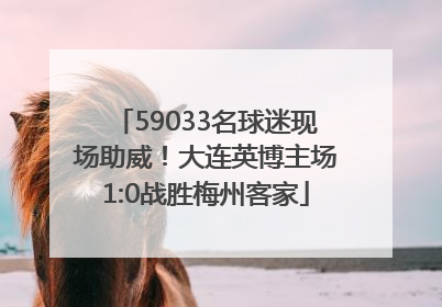 59033名球迷现场助威！大连英博主场1:0战胜梅州客家