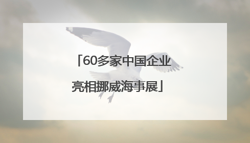 60多家中国企业亮相挪威海事展