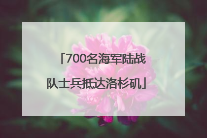 700名海军陆战队士兵抵达洛杉矶