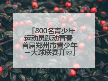 800名青少年运动员跃动青春 首届郑州市青少年三大球联赛开幕