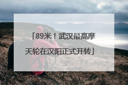 89米！武汉最高摩天轮在汉阳正式开转