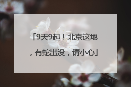 9天9起！北京这地，有蛇出没，请小心