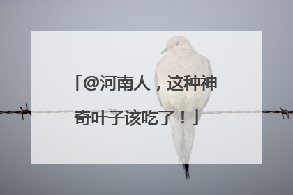 @河南人，这种神奇叶子该吃了！