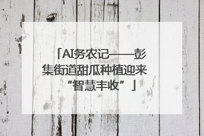 AI务农记——彭集街道甜瓜种植迎来“智慧丰收”