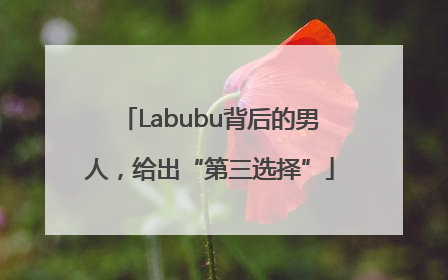 Labubu背后的男人，给出“第三选择”