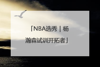 NBA选秀｜杨瀚森试训开拓者